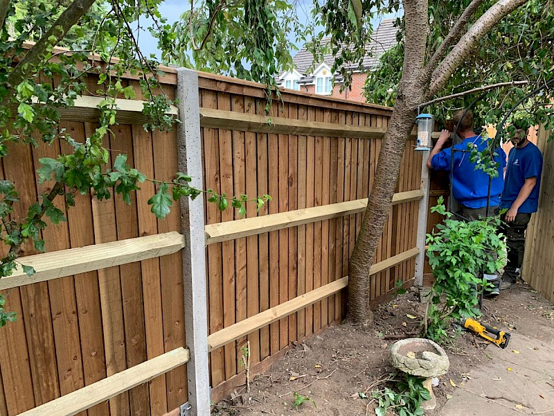 safe and healthy home fencing garden services