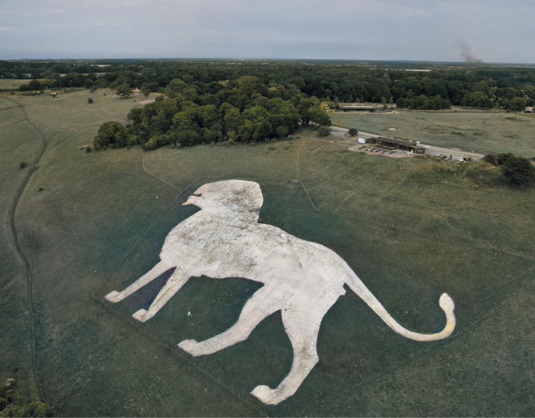 dunstable handyperson handyman services