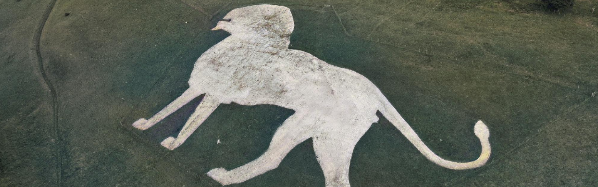 dunstable handyperson handyman services