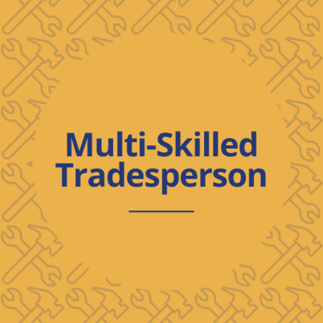 Multi-Skilled Tradesperson (Multi-Trade) HandyPerson