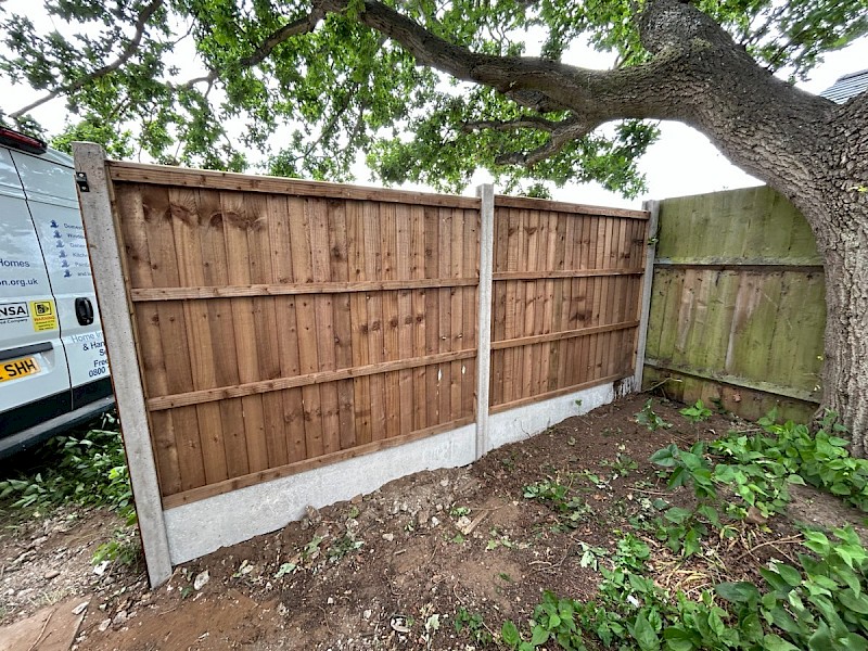 Well-maintained backyard with a freshly mowed lawn, bordered by a hedge and brick house, ideal for showcasing lawn care and gardening services.