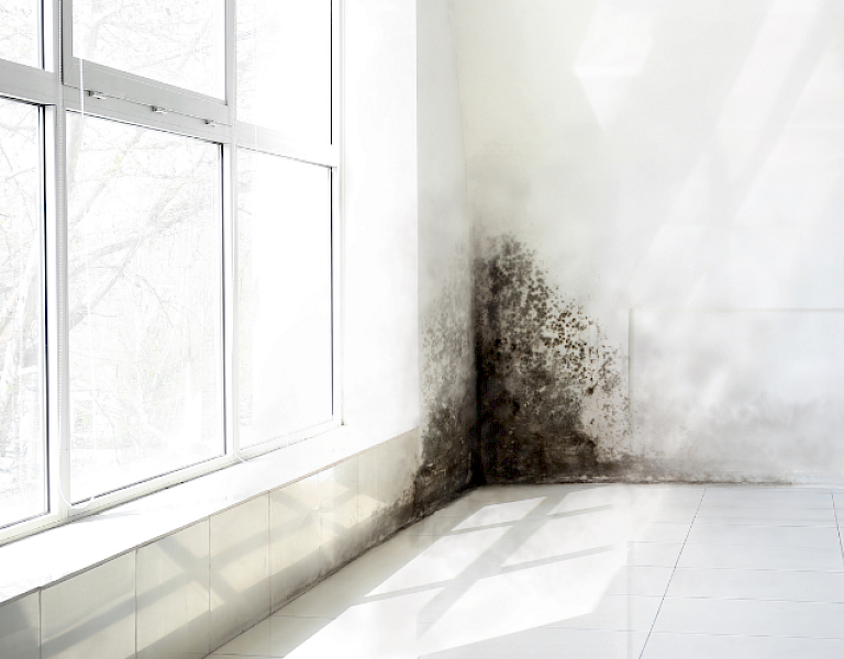 Damp Proofing, Investigation & Damp Repair in Leighton Buzzard, Linslade, Milton Keynes, Luton, Dunstable and Central Bedfordshire